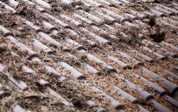 Llwyn Yr Hwrdd roof cleaning companies