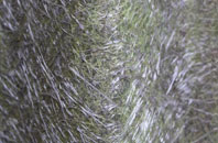 Llwyn Yr Hwrdd fibreglass roof work